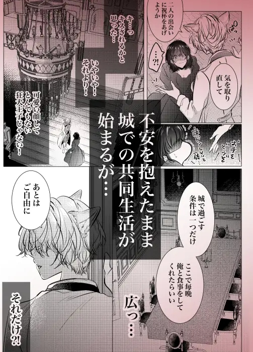 その恋は御伽話の中で。〜野獣少年と転生美女(?)の晩餐会〜