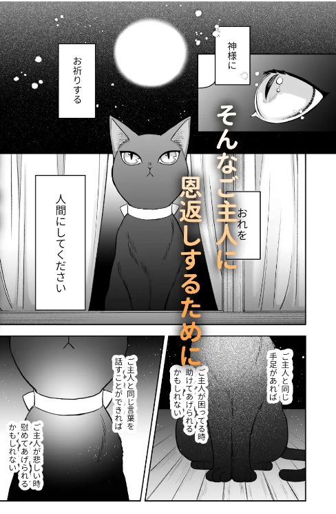 黒猫クロくんの恩返しは不器用で不埒