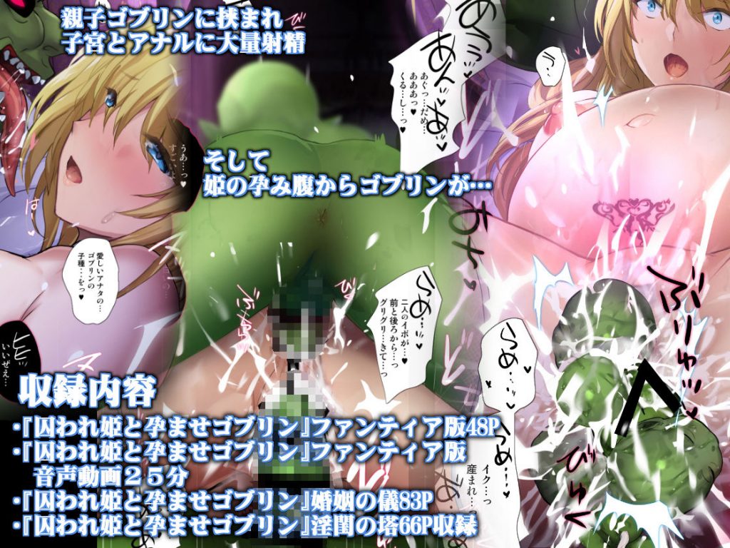 囚われ姫と孕ませゴブリン06