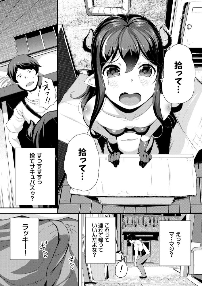 へっぽこサキュバス中出し飼育日記14