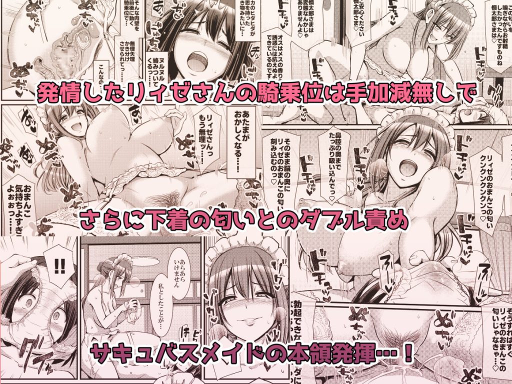 あまあまサキュバスメイドリィゼさん29
