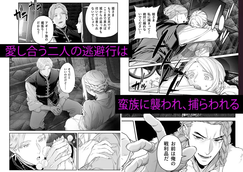 蛮族の花嫁～堕ちた姫君～本編サンプル
