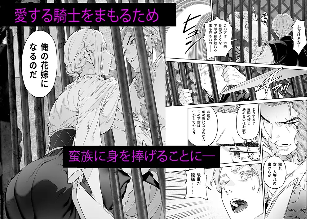 蛮族の花嫁～堕ちた姫君～本編サンプル2