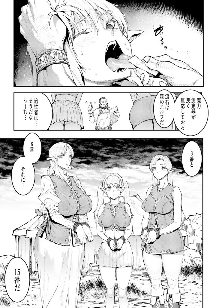 ELVEN BIRTH12