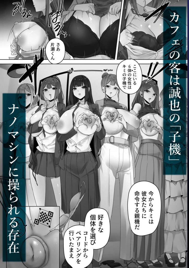 ナノマシン投与による端末化女性個体群への操作可能性に関する諸考察5