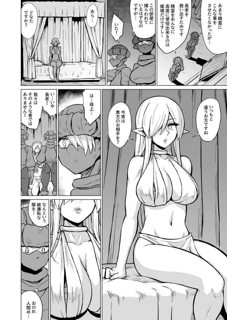 淫欲に狂いしエルフ達の唄23
