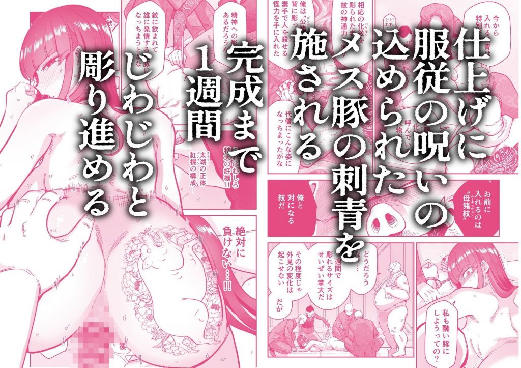 雌豚紋紋5