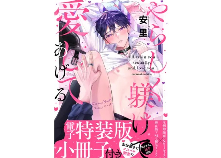 やらしく躾けて愛してあげる−Dom／Subユニバース−【単行本版／電子特装版小冊子付き】