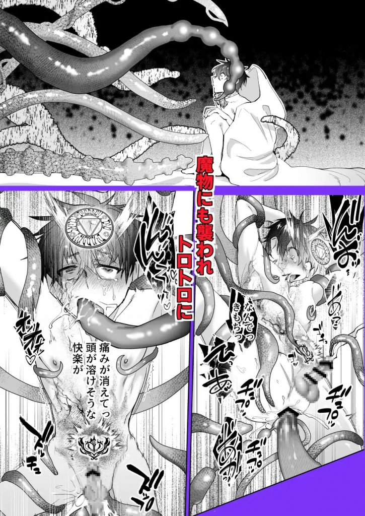 再召喚された僕は騎士様のもの-本編サンプル8