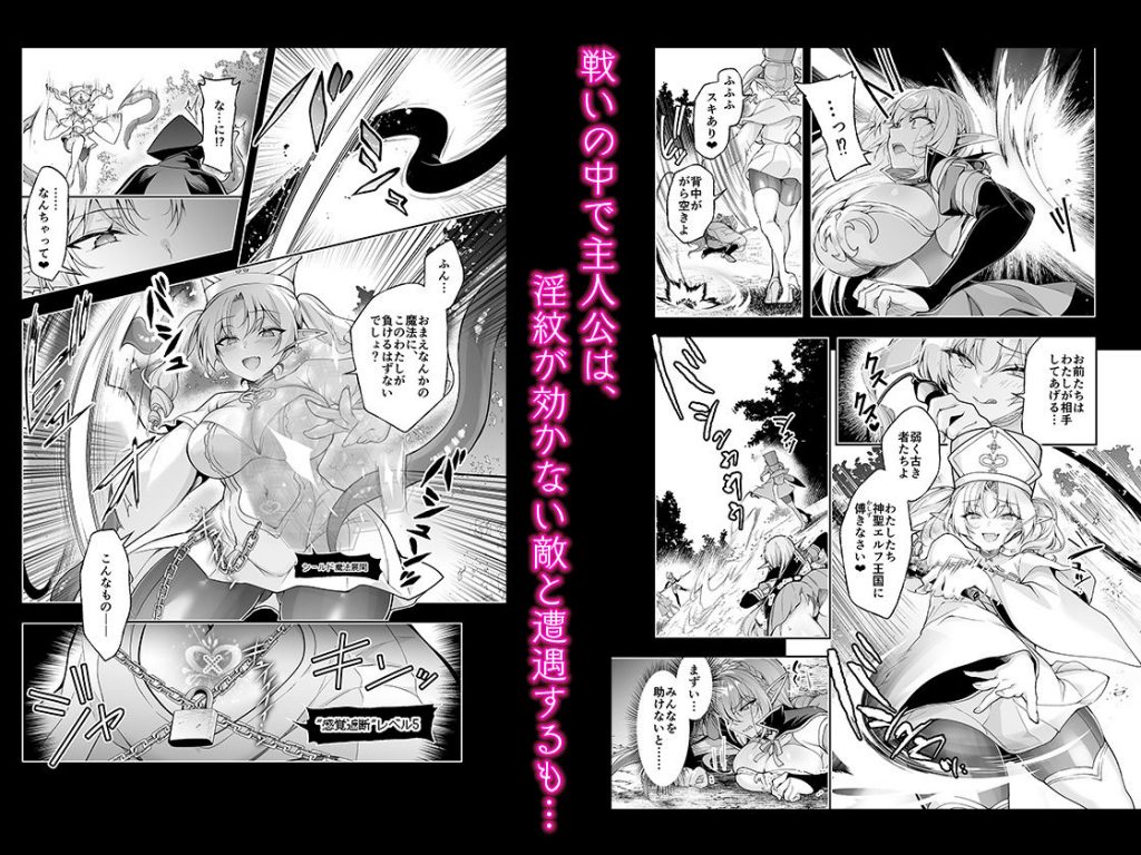 エルフに淫紋を付ける本 LEVEL:94