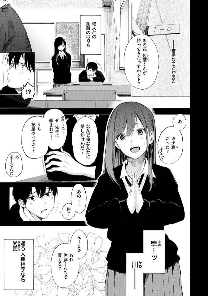 ゼラニウム3