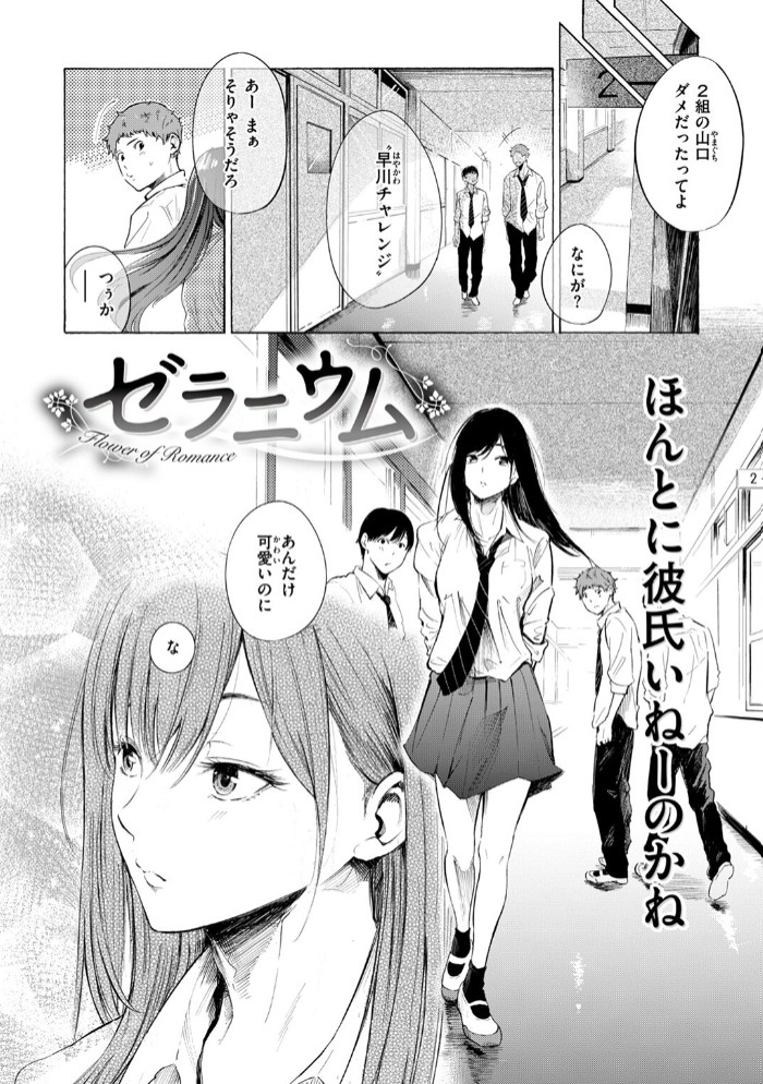 ゼラニウム4