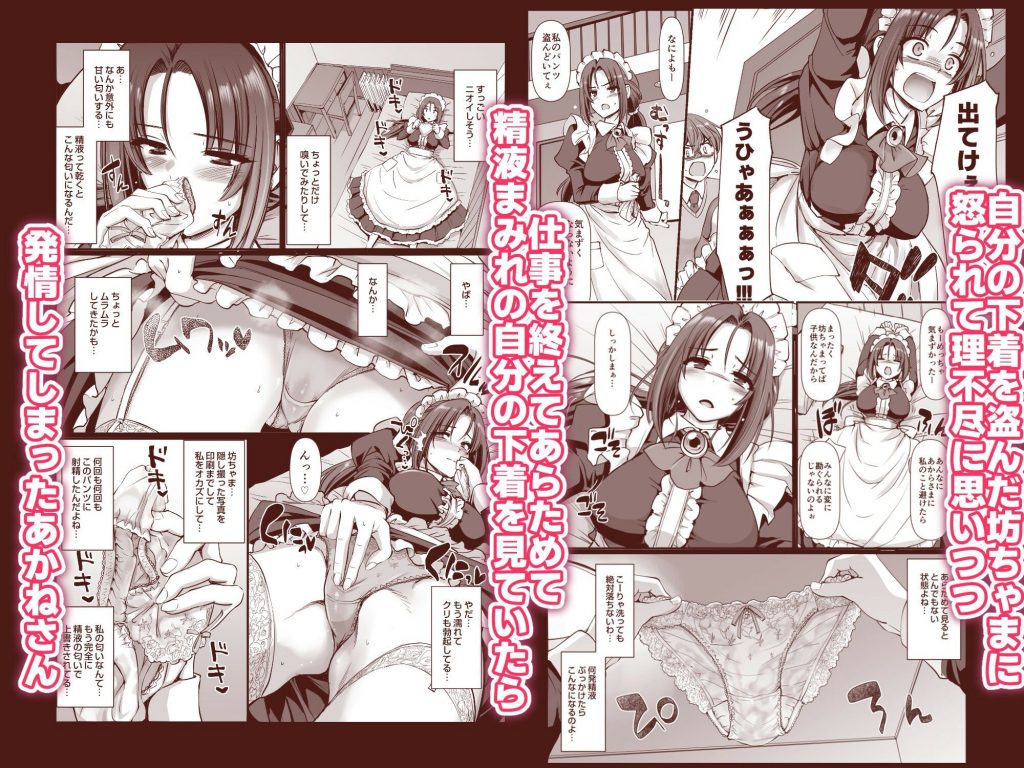 ポンコツ独身メイドあかねさん（28）4