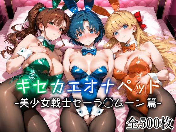 キセカエオナペット -美少女戦士セーラ◯ムーン篇-1
