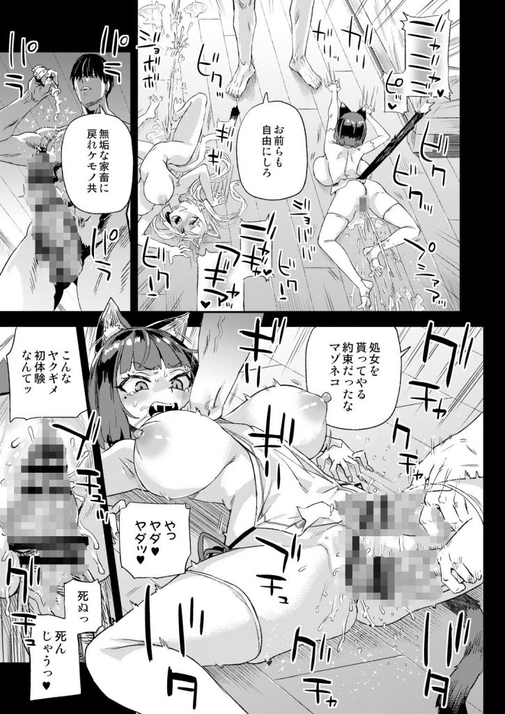 猫族娘はヒトを飼う。11