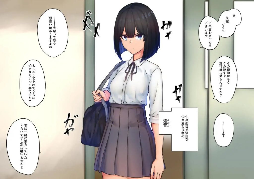 SK-H ZIP 淡2