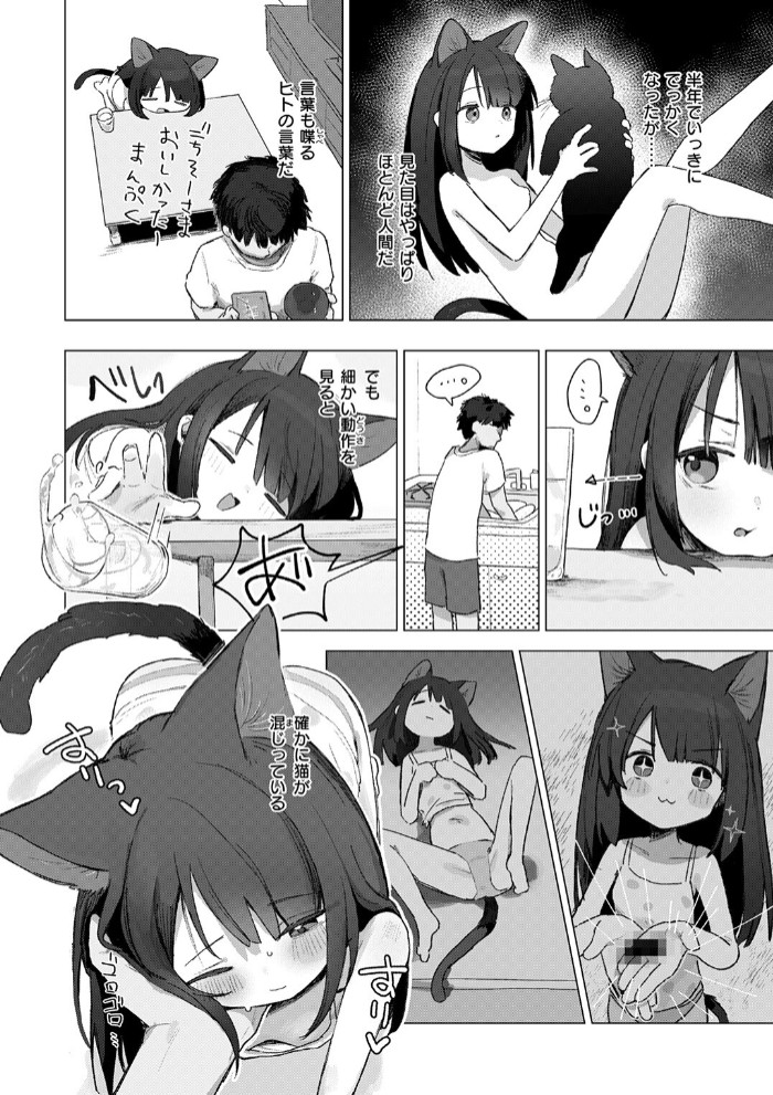 拾い猫6