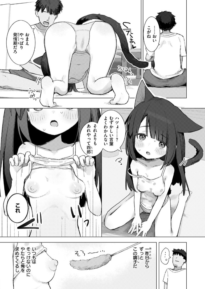 拾い猫7