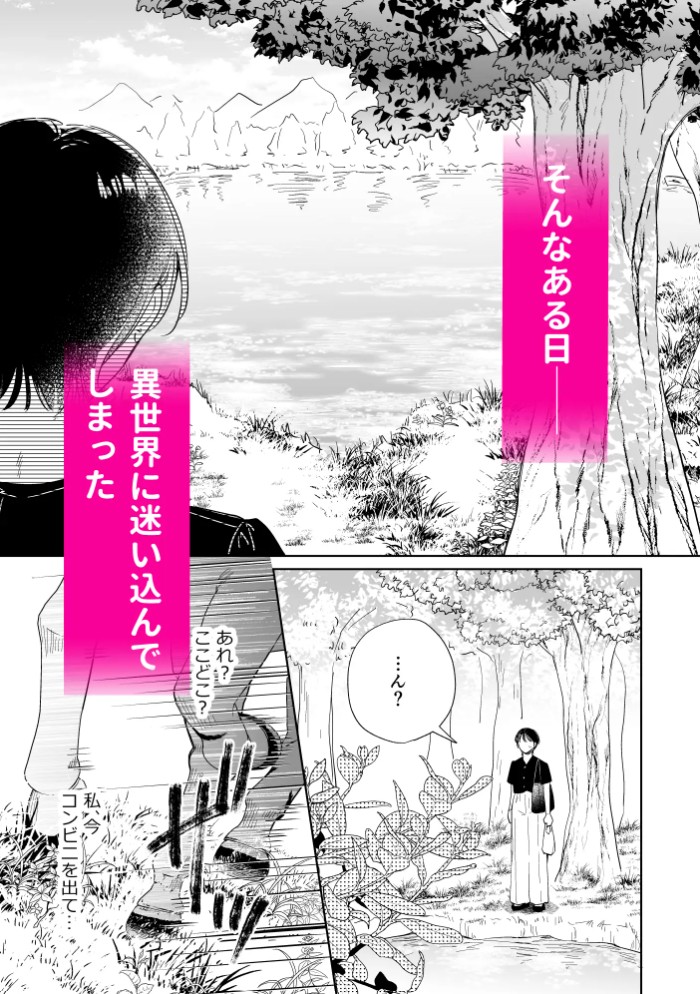 異世界転移したら訳あり王子に永遠を誓われました4