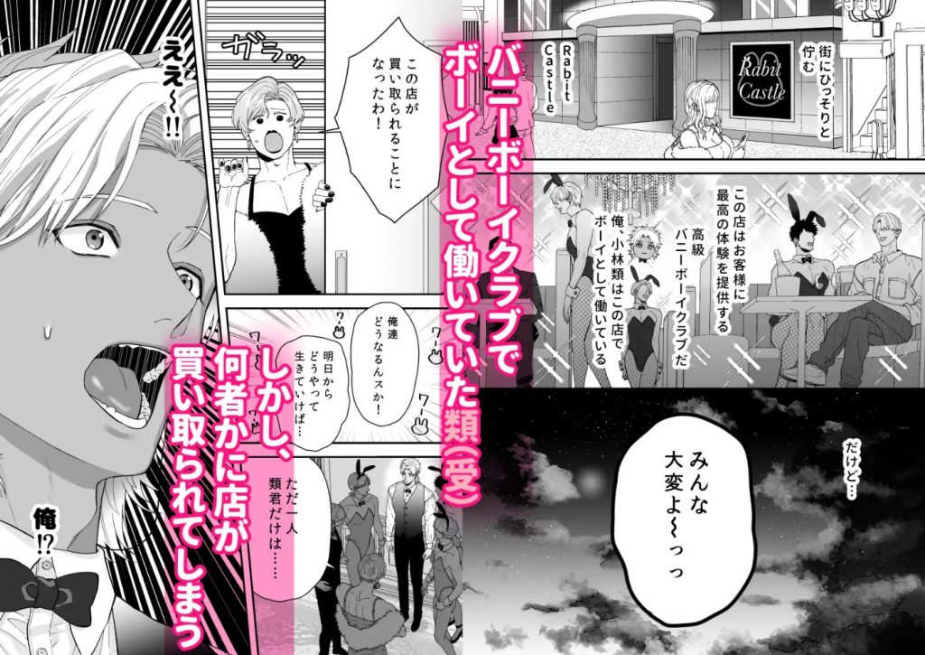 エッチ♡バニー 〜ボーイの俺がバニーになって恋人契約♡した件について〜2