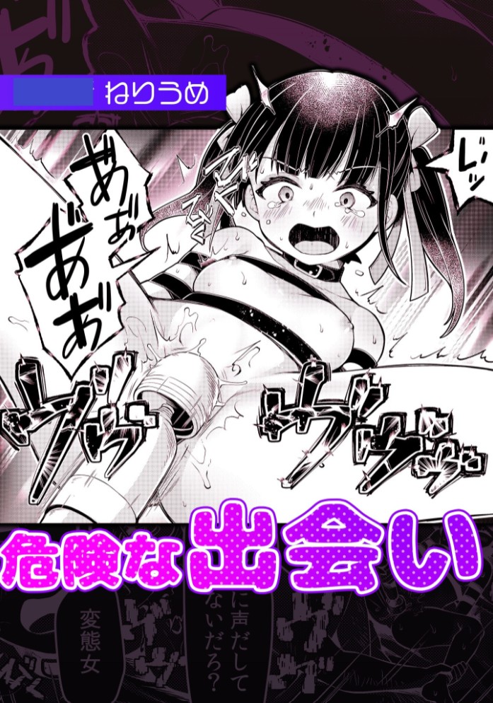 危険な出会い1