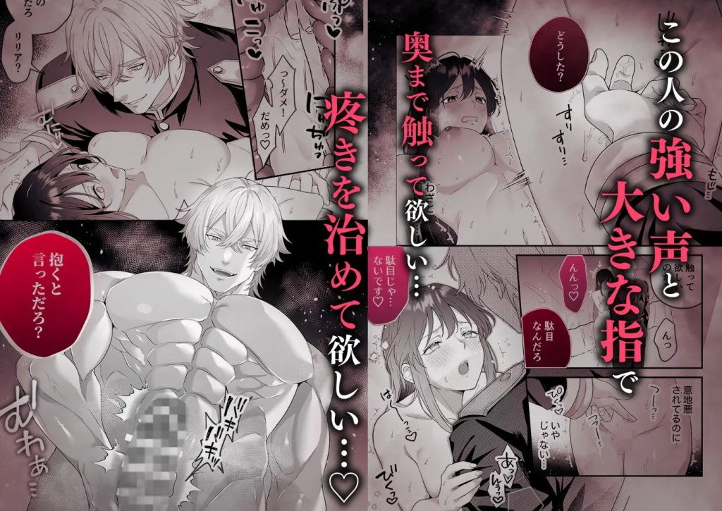 最強騎士団長体格差NTR～何も知らない貴族の人妻は俺様筋肉交尾に抗えず、身体中を芯まで塗り潰される10