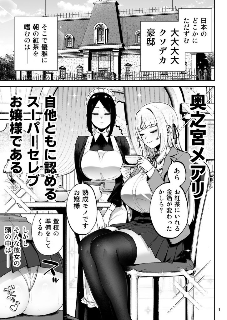 それゆけ、エロバカお嬢様！ 〜セレブの私がデカチン庶民を手籠めにするのは当然です！〜2