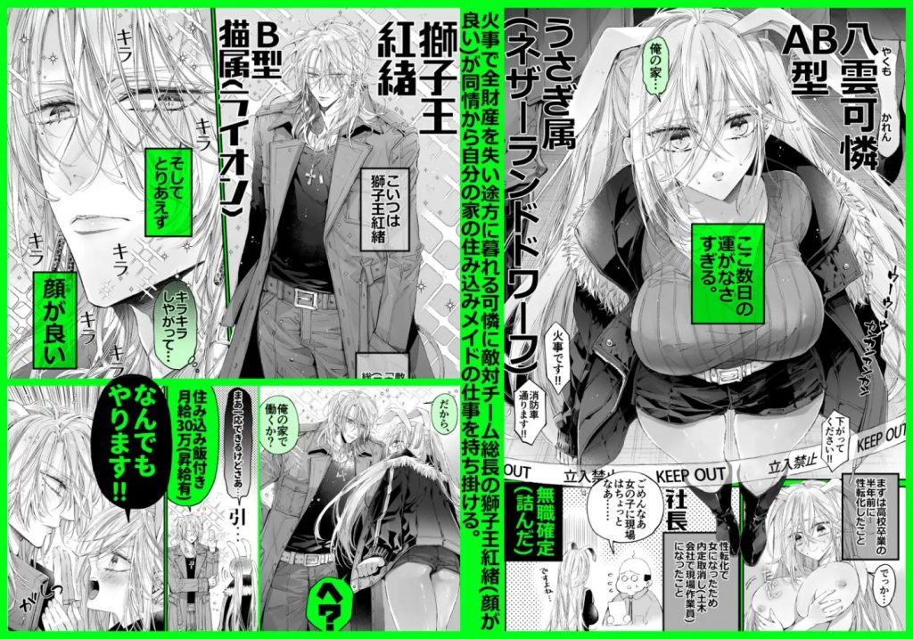 ターシャリトランスストレンジ*絶世の美女(元ヤン総長)が絶世の美男×2(敵対チーム総長)+(幼馴染)に執着溺愛される話2