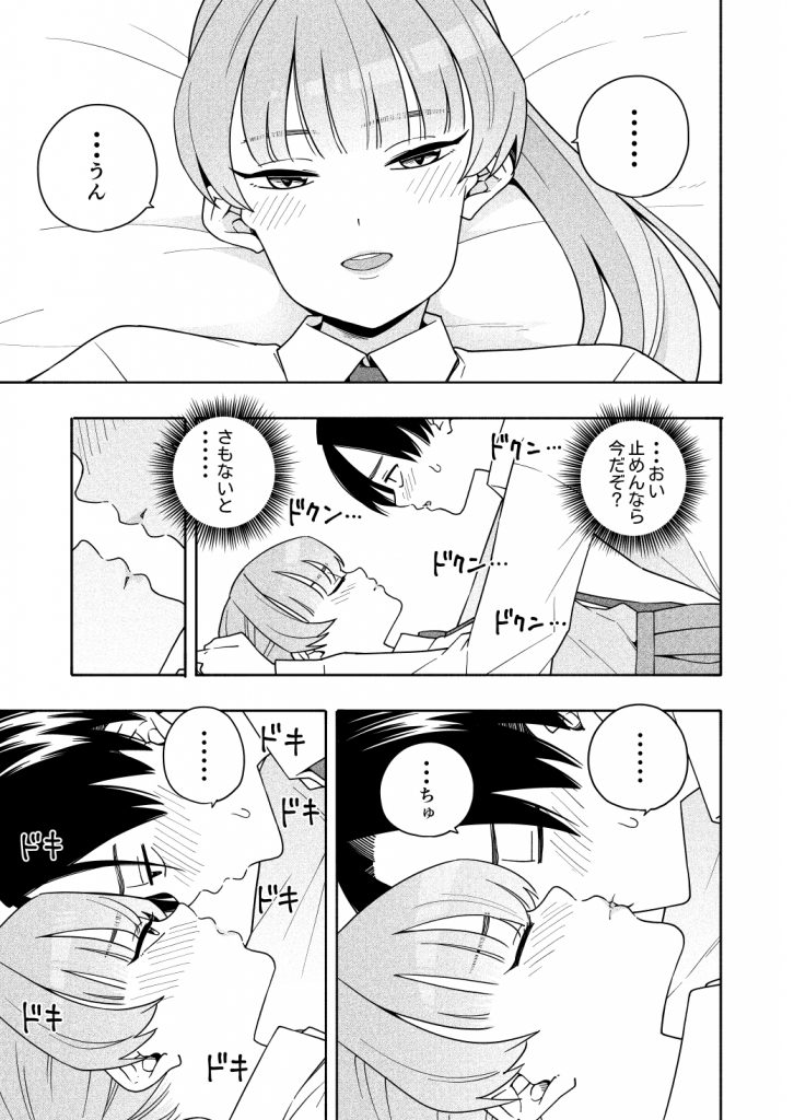 カムフラージュ27