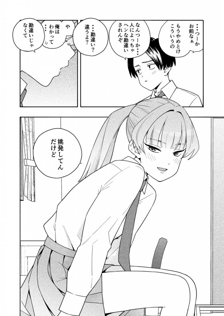 カムフラージュ4