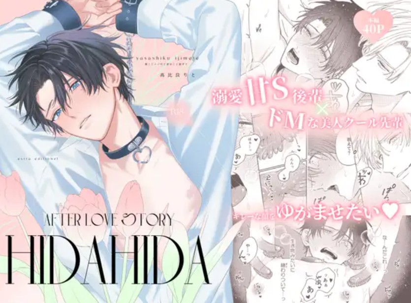 HIDA HIDA1