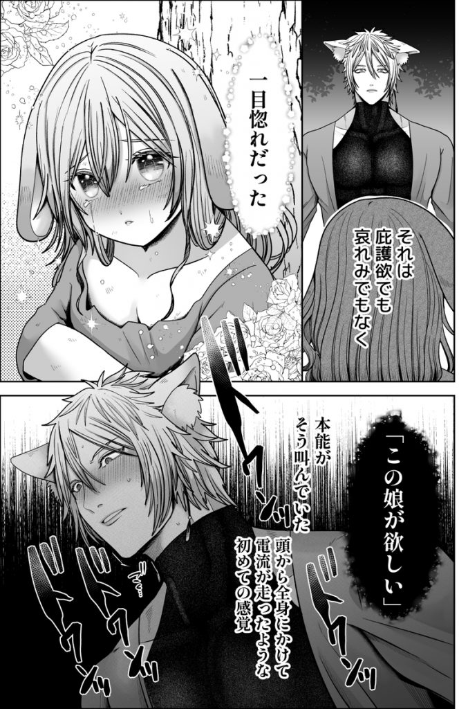 劣情狼と発情うさぎ ─治療という名の強○孕ませセックス─17