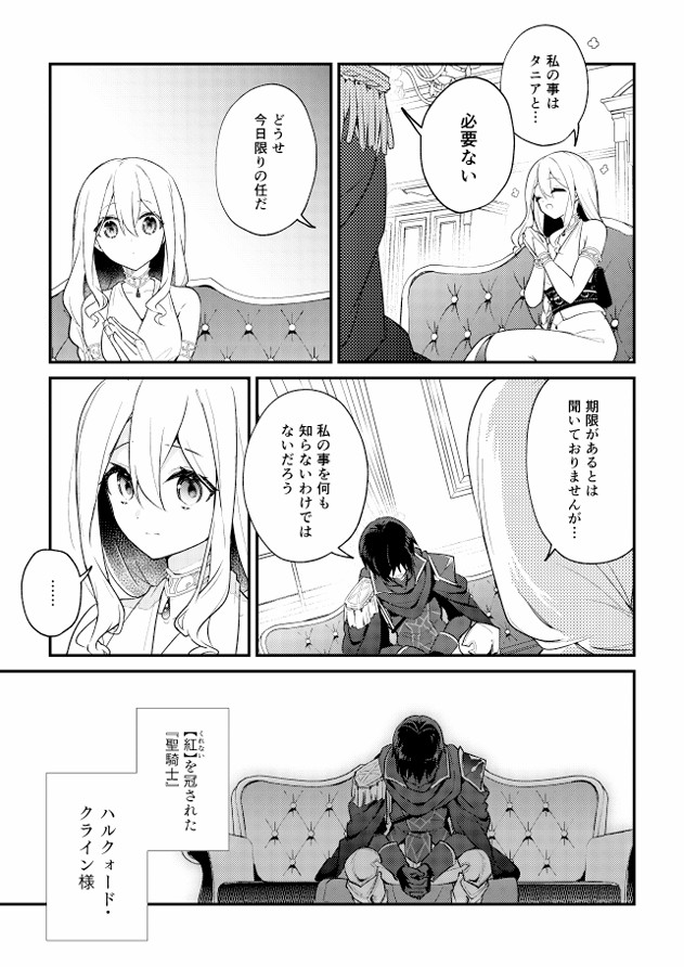 聖騎士の専属聖女 -訳あり聖女は穢れの聖騎士と誠実な儀をする-15