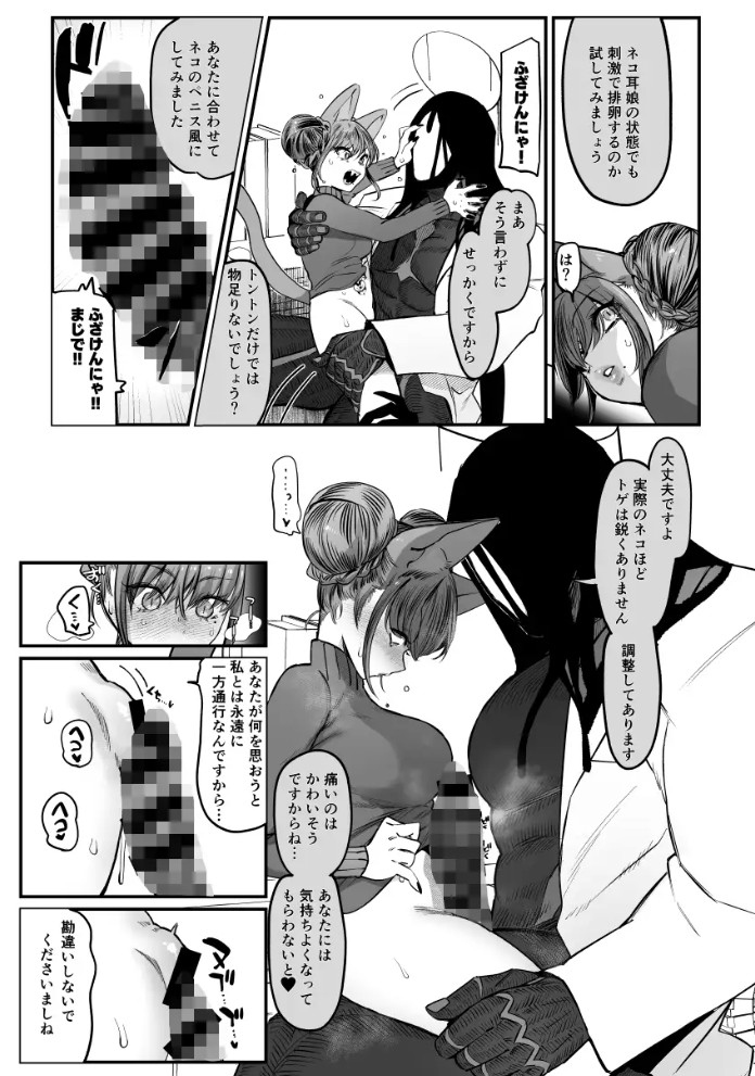メスネコ！ランホアちゃん3