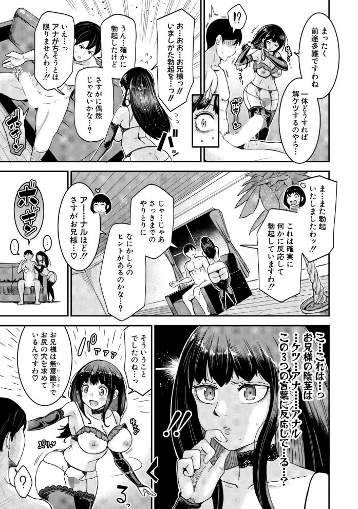 お兄様! お兄様? お兄様あぁあっ!!?3