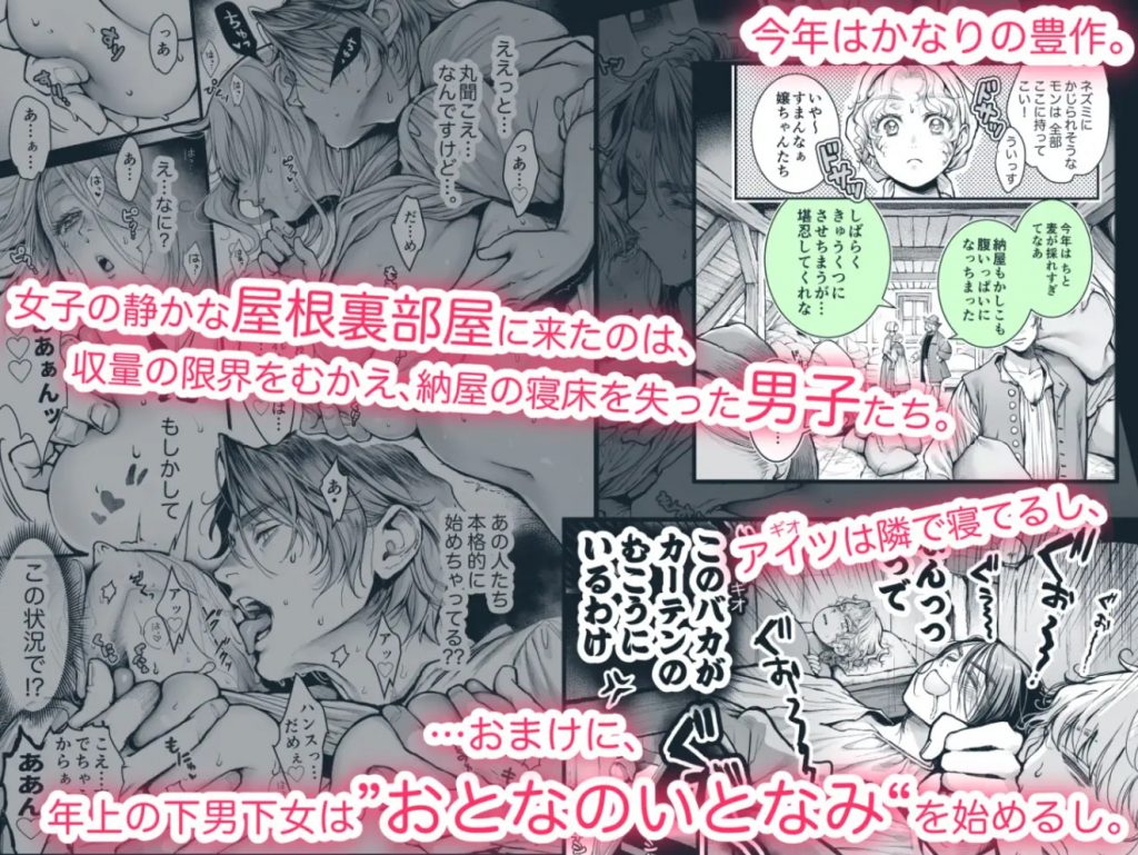 シュヴァインスタイガー家の屋根裏部屋 上巻5