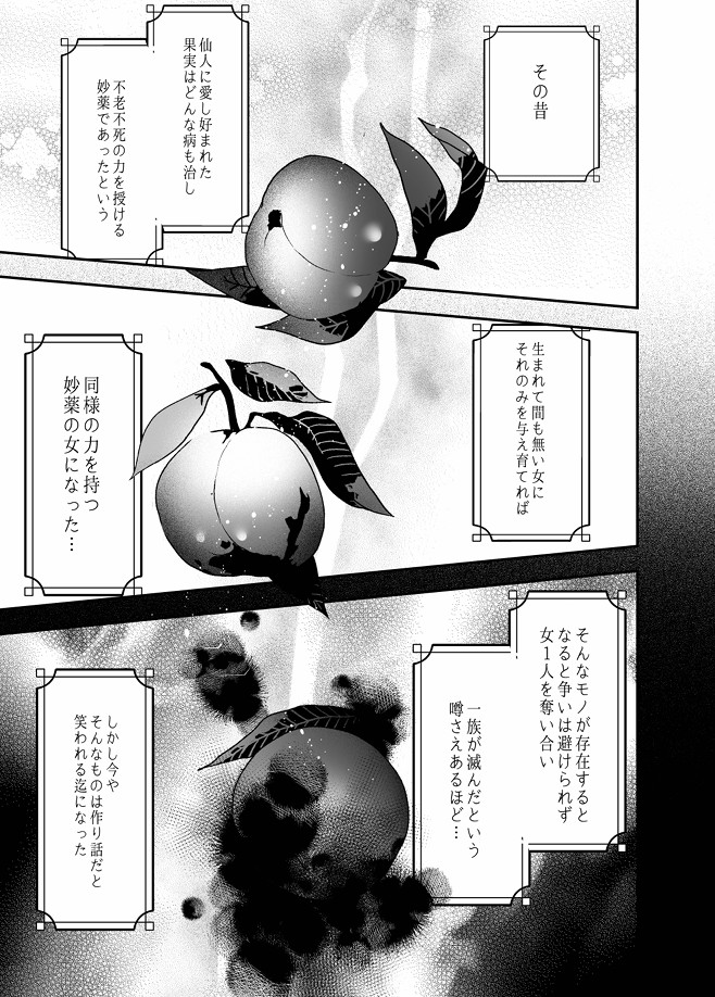 桃心照月〜不器用な彼が積年焦がれた分、それ以上に私を愛する迄〜12