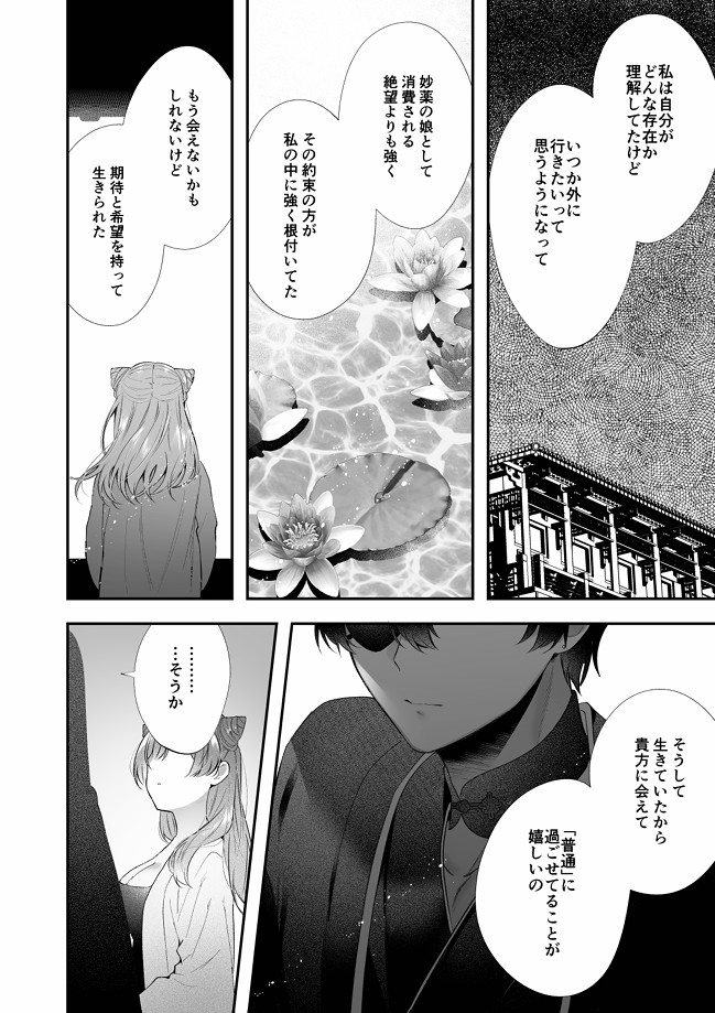 桃心照月〜不器用な彼が積年焦がれた分、それ以上に私を愛する迄〜27