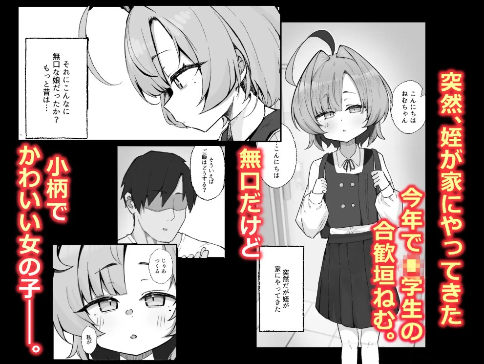 眠リ姫~姪っ子調教性活記録~2
