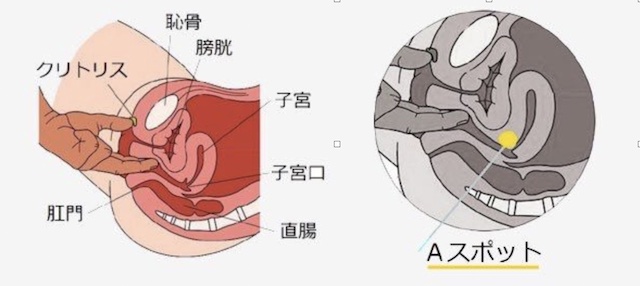 Aスポットで中イキ