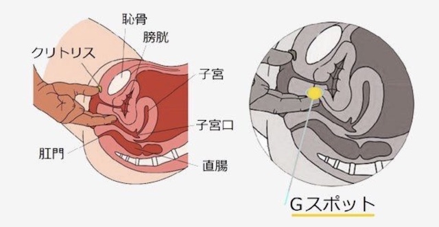 Gスポットで中イキ