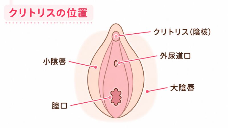 クリトリスが気持ちいい場所はどこ？